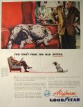 1944 Goodyear Airfoam Ad ~ English Setter
