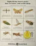 1954 GE Light Bulb Ad ~ Night Flying Insects
