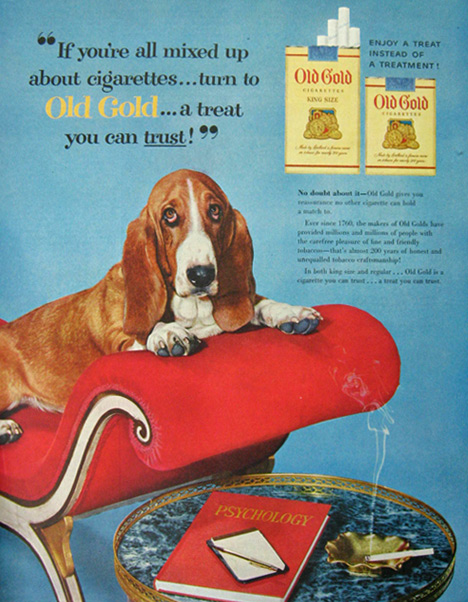1954 Old Gold Cigarettes Ad ~ Basset Hound Dog