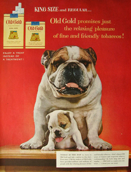 1954 Old Gold Cigarettes Ad ~ English Bulldog
