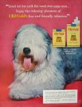1954 Old Gold Cigarettes Ad ~ Old English Sheepdog