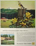 1954 Weyerhaeuser Timber Co. Ad ~ Meadow Lark, Oregon Grape ~ Stan Galli
