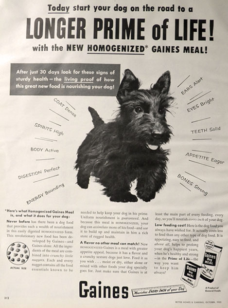 1953 Gaines Dog Food Ad ~ Scottie Dog