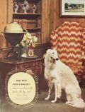 1938 Four Roses Bourbon Ad ~ Borzoi Dog