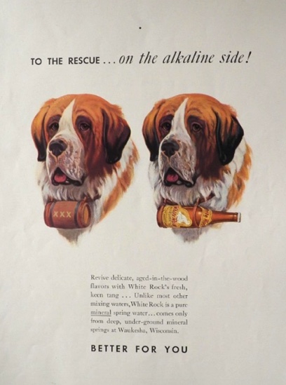1937 White Rock Water Ad ~ St. Bernard Dog