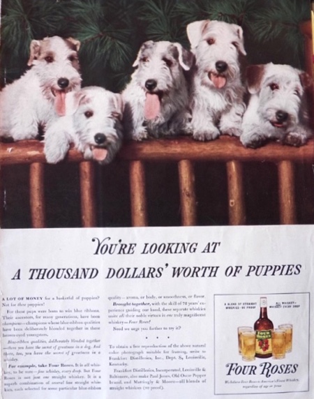 1938 Four Roses Whiskey Ad ~ Wire Fox Terrier Puppies