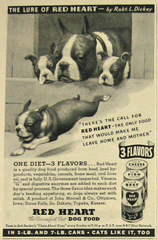 1935 Red Heart Dog Food Ad ~ Robert Dickey Boston Terriers