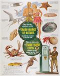1949 Ethyl Gasoline Ad ~ Seashore Creatures