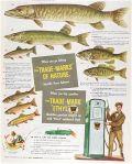 1949 Ethyl Gasoline Ad ~ Fishing, Fish Identification