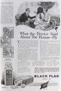 1920 Black Flag Insect Killer Ad ~ What the Doctor Said About the House Fly