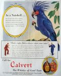 1938 Calvert Whiskey Ad ~ Black Cockatoo