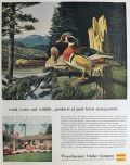 1958 Weyerhaeuser Timber Ad ~ Wood Duck