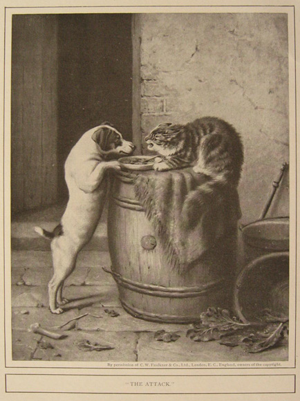1910 Dog & Cat Food Fight Antique Print ~ Set of 2