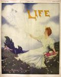 1907 Life (Humor) Magazine Cover ~ Charles Allan Gilbert ~ Kite Flying Lovers