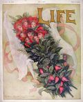 1907 Life (Humor) Magazine Cover ~ Charles Allan Gilbert