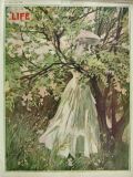 1907 Life (Humor) Magazine Cover ~ Henry Hutt, Woman by Tree