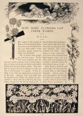 1905 How Some Flowers Got Their Names ~ Children's Illustrated Article