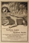 1905 Northern Pacific Railroad Ad ~ Polar Bear