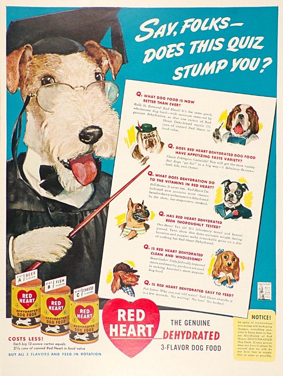 1943 Red Heart Dog Food Ad ~ Wire Fox Terrier