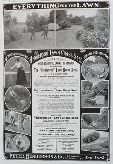 1905 Peter Henderson Lawn Grass Seed Ad