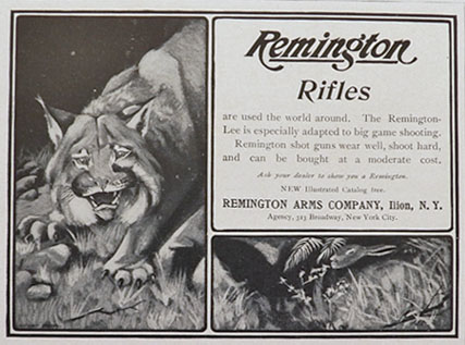 1903 Remington Rifles Ad ~ Big Cat