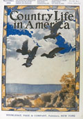 1904 Country Life in America Cover ~ Sea Birds in Flight