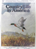 1907 Country Life in America Cover ~ Mallard Drake