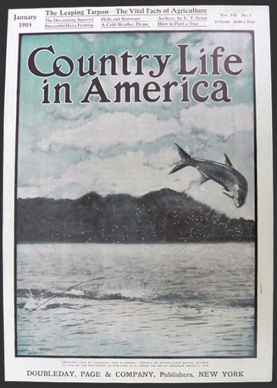 1905 Country Life in America Cover ~ Leaping Tarpon