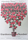 1903 Country Life in America Cover ~ Large Pot of Pink Roses