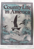 1904 Country Life in America Cover ~ Sooty Terns in Flight