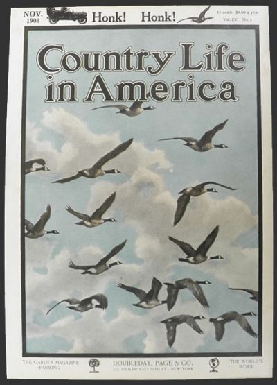 1908 Country Life in America Cover ~ Wild Geese in Flight