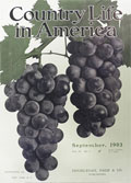 1903 Country Life in America Cover ~ Purple Grapes