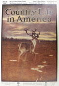 1908 Country Life in America Cover ~ Newfoundland Caribou