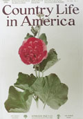 1905 Country Life in America Cover ~ A Single Hollyhock