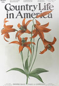 1906 Country Life in America Cover ~ Orange Lilies