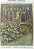 1905 Country Life in America Cover ~ Hollyhocks in a Garden