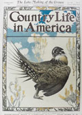 1905 Country Life in America Cover ~ Grouse