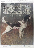 1907 Country Life in America Cover ~ English Setter Dog