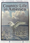 1908 Country Life in America Cover ~ Great White Heron