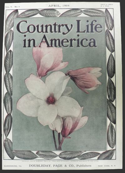 1904 Country Life in America Cover ~ Magnolias