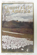 1907 Country Life in America Cover ~ A Field of Crocuses
