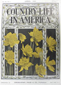1903 Country Life in America Cover ~ Daffodils