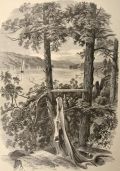 Antique Print ~ Wood Engraving ~ Hudson River, Hyde Park, NY