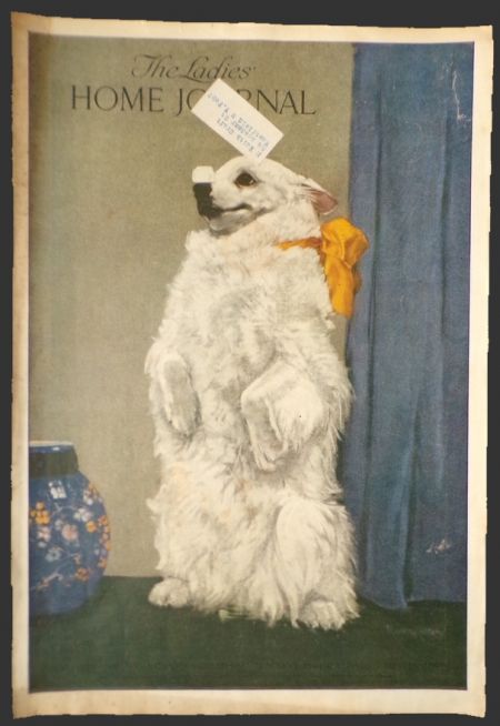 1916 Ladies Home Journal Cover ~ Pomeranian Dog Does Trick