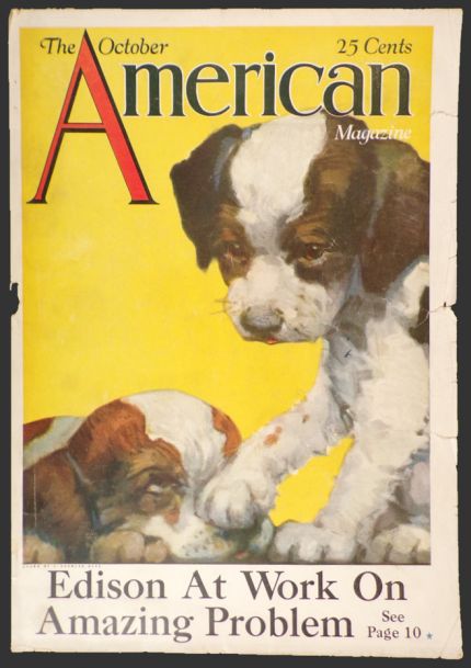 1920 The American Magazine Cover ~ Playful Puppies
