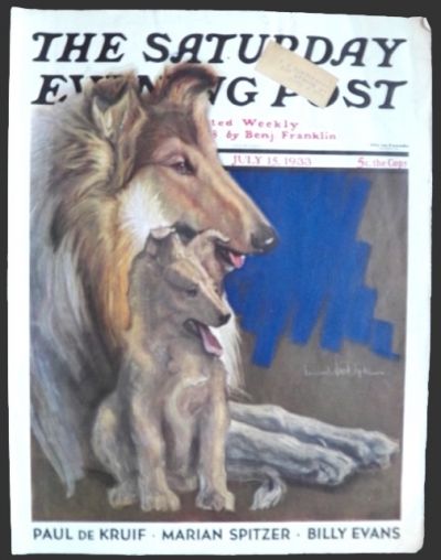 1933 Saturday Evening Post Cover ~ Howard Van Dyke Collie Dogs