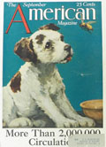 1923 American Magazine Cover ~ Puppy Watches Bee ~ J. Knowles Hare