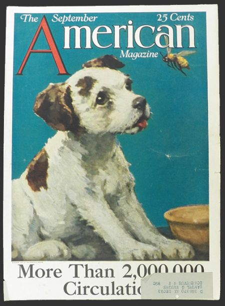 1923 American Magazine Cover ~ Puppy Watches Bee ~ J. Knowles Hare