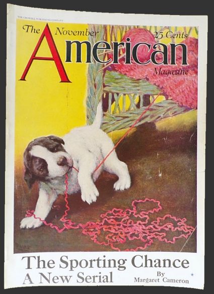 1925 American Magazine Cover ~ Puppy Plays with Yarn