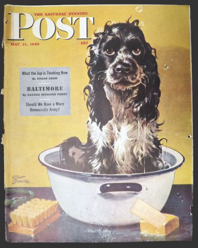 1946 Saturday Evening Post Cover ~ Cocker Spaniel Takes A Bath
